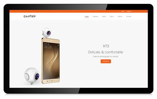 精品網(wǎng)站設(shè)計(jì)，品牌形象塑造首選科慧設(shè)計(jì)