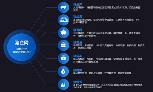 智慧養(yǎng)豬新篇章 企聯(lián)網(wǎng)產品結構全景解讀